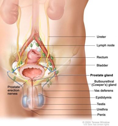 Sex Prostate Massage 2