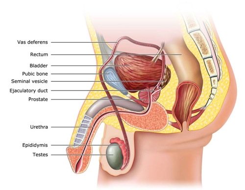 Prostate cancer surgery complications what causes an 