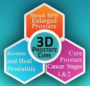 3D-Prostate-Clinic